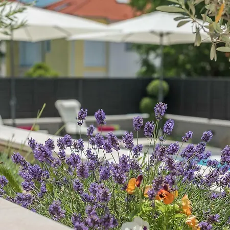 Apartman Franica Zára