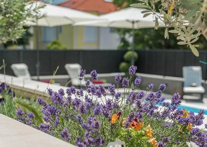 Appartement Franica Zadar